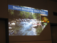 &copy; Zierfischfreunde Immenhausen-Holzhausen